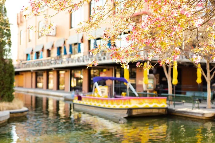 Blurred riverside historic brick building, water taxi along canal at Bricktown entertainment district, redbud tree flower blossom, tender spring leaves, travel destination downtown Oklahoma City.