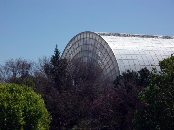 Myriad Botanical Gardens seen through local foliage